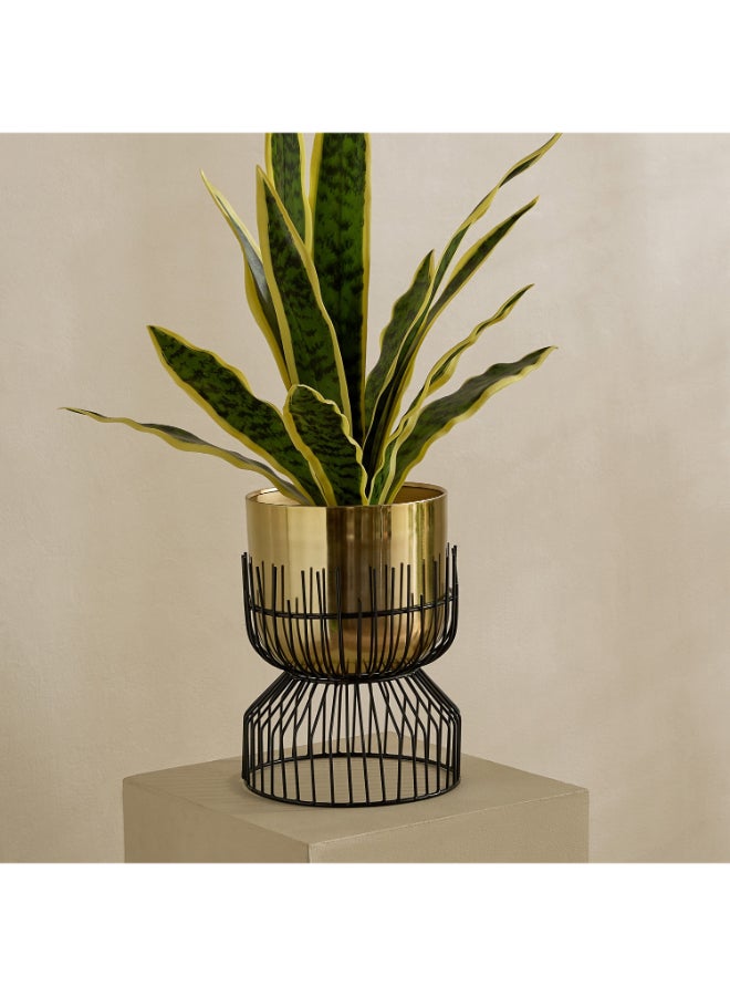 Home Box حامل نباتات معدني فاخر - ذهبي وأسود - Image 1